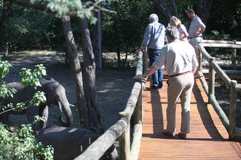 Kongola Nambwa Tented Lodge מראה חיצוני תמונה